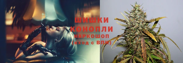 прущий лед Михайлов
