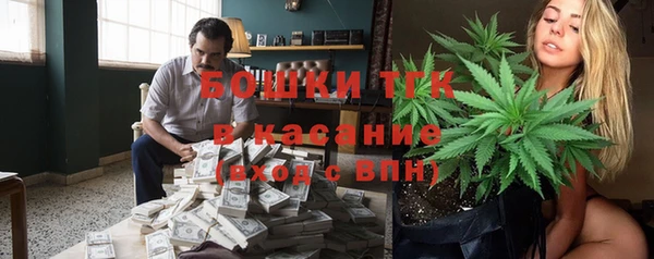 прущий лед Михайлов