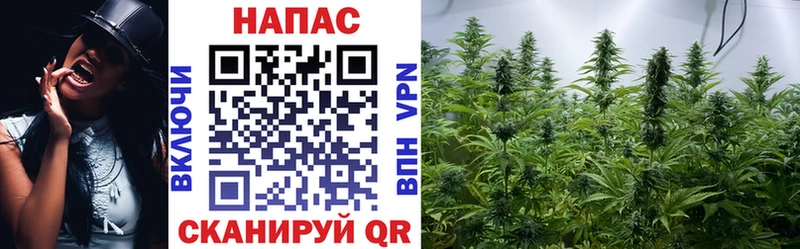 Бошки Шишки OG Kush  Купить закладки  Иннополис 